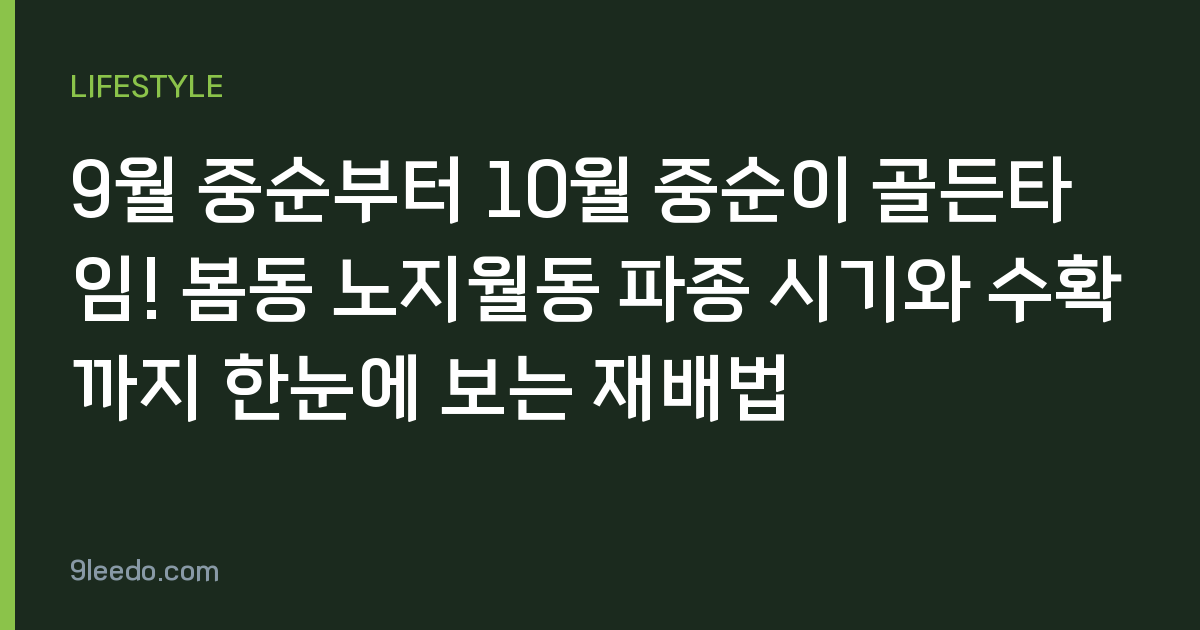 9월 중순부터 10월 중순이 골든타임! 봄동 노지월동 파종 시기와 수확까지 한눈에 보는 재배법