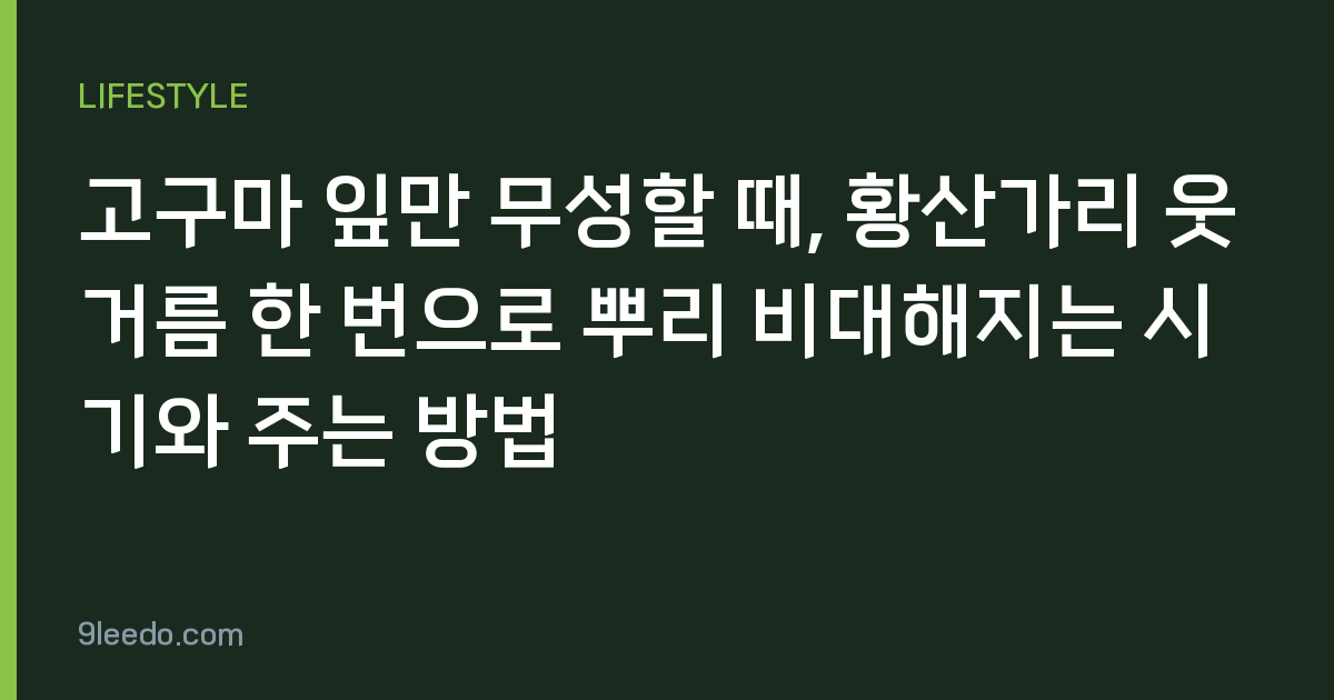 고구마 잎만 무성할 때, 황산가리 웃거름 한 번으로 뿌리 비대해지는 시기와 주는 방법