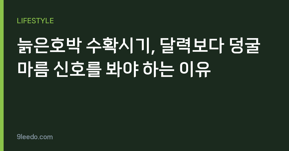 늙은호박 수확시기, 달력보다 덩굴 마름 신호를 봐야 하는 이유