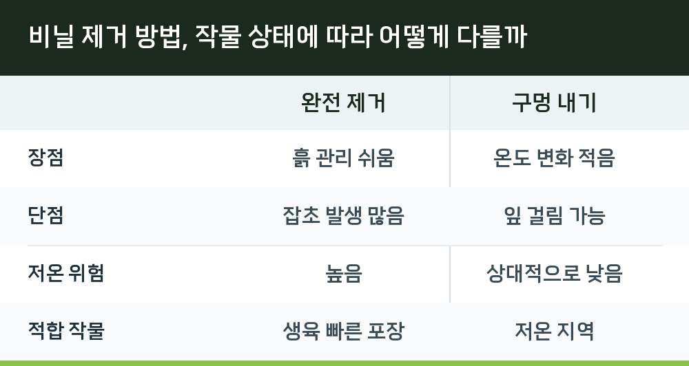 비닐 제거 방법, 작물 상태에 따라 어떻게 다를까
