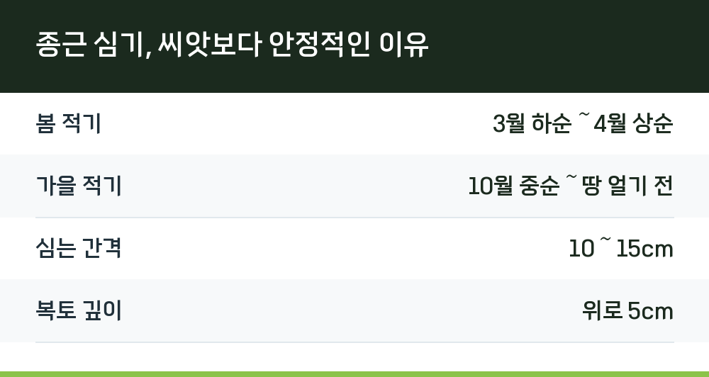 종근 심기, 씨앗보다 안정적인 이유