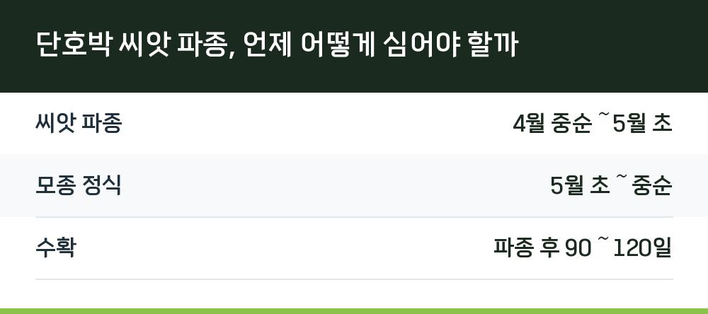 단호박 씨앗 파종, 언제 어떻게 심어야 할까