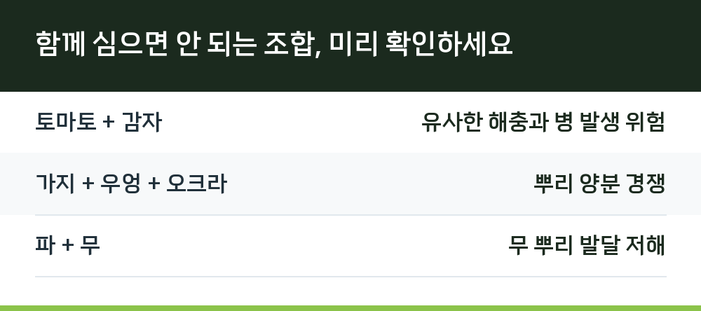 함께 심으면 안 되는 조합, 미리 확인하세요