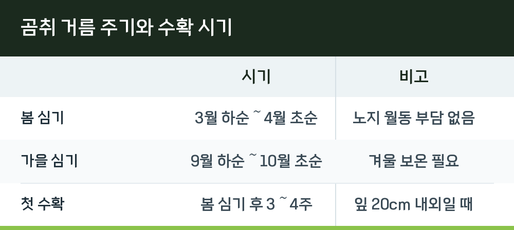 곰취 거름 주기와 수확 시기