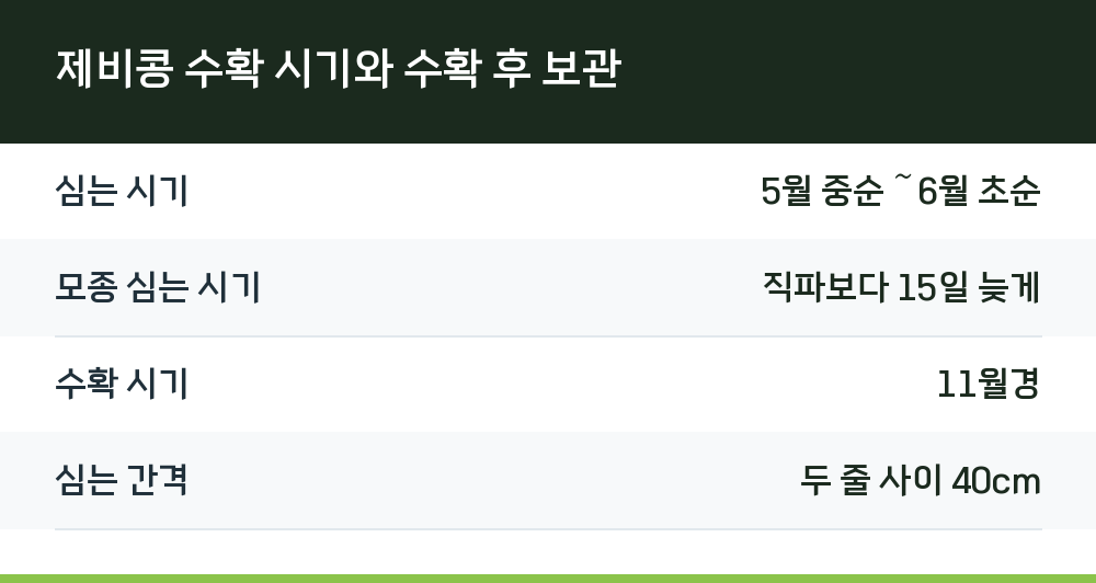 제비콩 수확 시기와 수확 후 보관