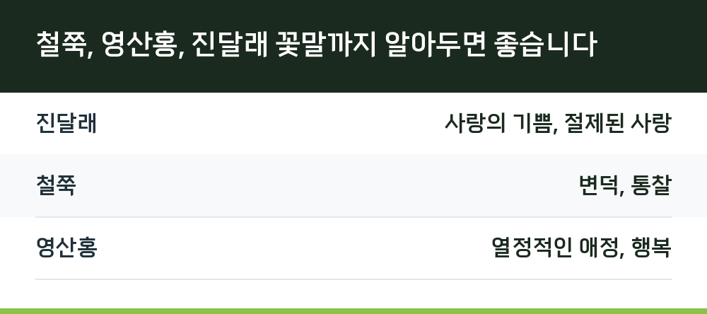 철쭉, 영산홍, 진달래 꽃말까지 알아두면 좋습니다
