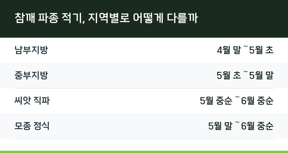 참깨 파종 적기, 지역별로 어떻게 다를까