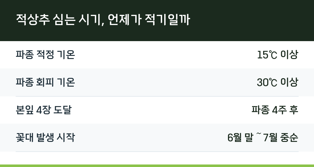 적상추 심는 시기, 언제가 적기일까