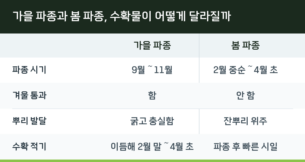 가을 파종과 봄 파종, 수확물이 어떻게 달라질까