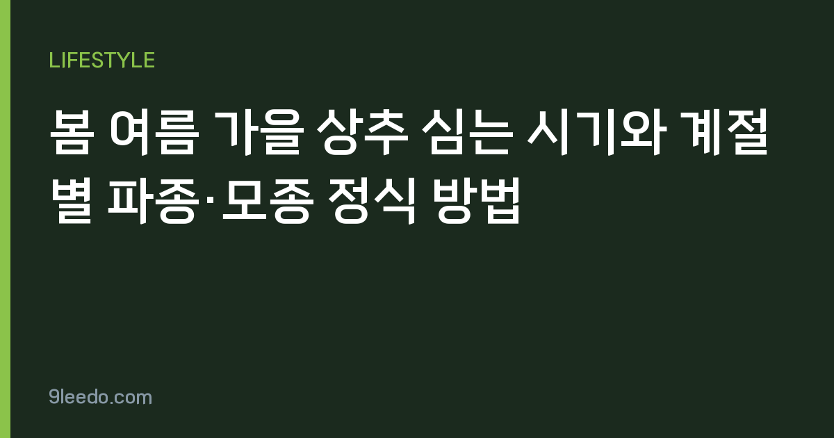 봄 여름 가을 상추 심는 시기와 계절별 파종·모종 정식 방법