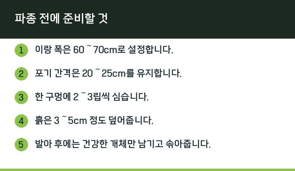 파종 전에 준비할 것