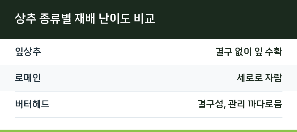상추 종류별 재배 난이도 비교
