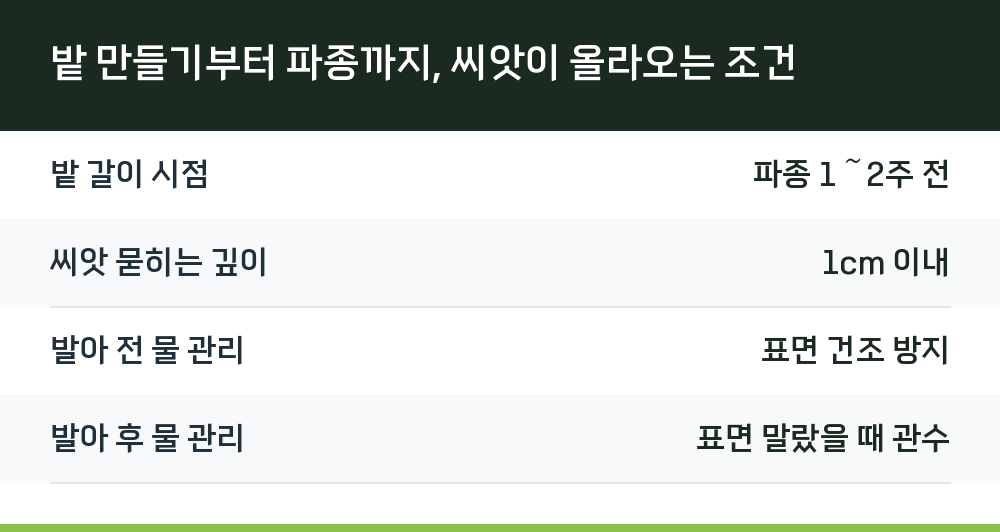 밭 만들기부터 파종까지, 씨앗이 올라오는 조건