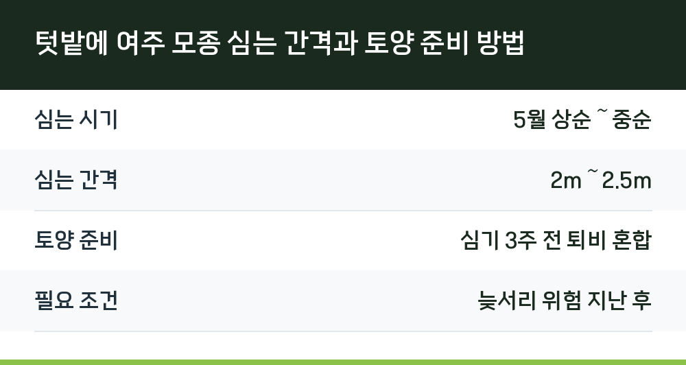 텃밭에 여주 모종 심는 간격과 토양 준비 방법