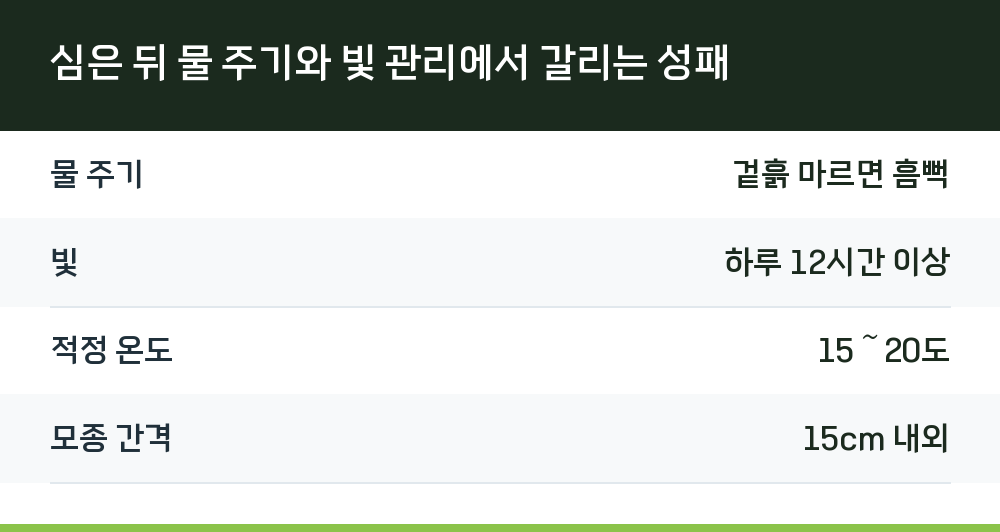 심은 뒤 물 주기와 빛 관리에서 갈리는 성패