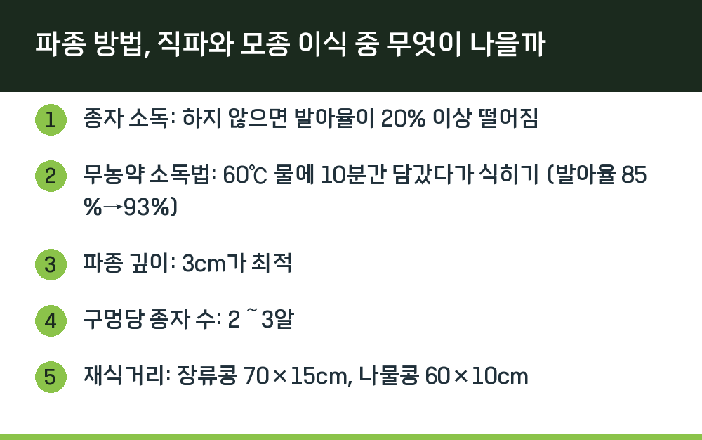 파종 방법, 직파와 모종 이식 중 무엇이 나을까