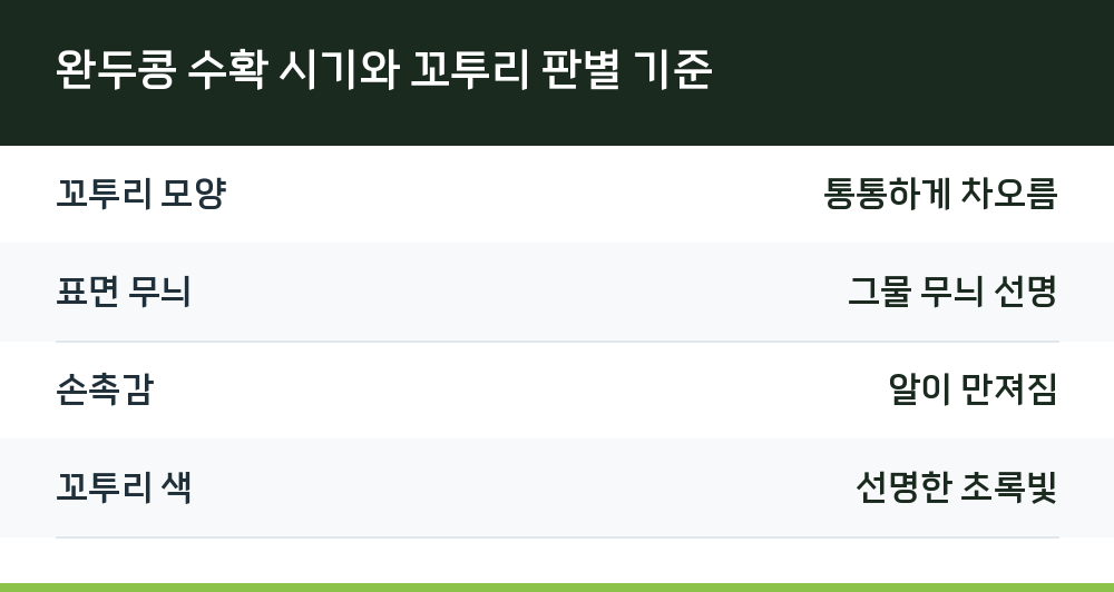 완두콩 수확 시기와 꼬투리 판별 기준