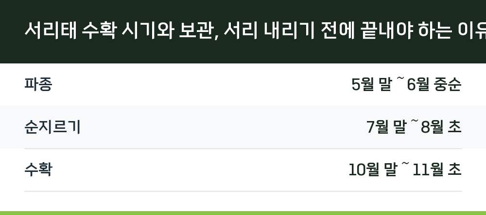 서리태 수확 시기와 보관, 서리 내리기 전에 끝내야 하는 이유