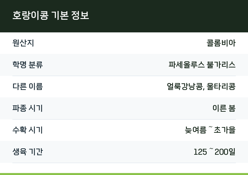 호랑이콩 기본 정보