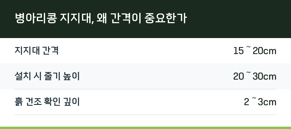 병아리콩 지지대, 왜 간격이 중요한가