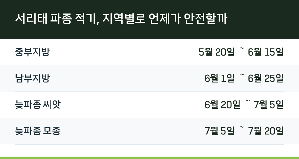 서리태 파종 적기, 지역별로 언제가 안전할까