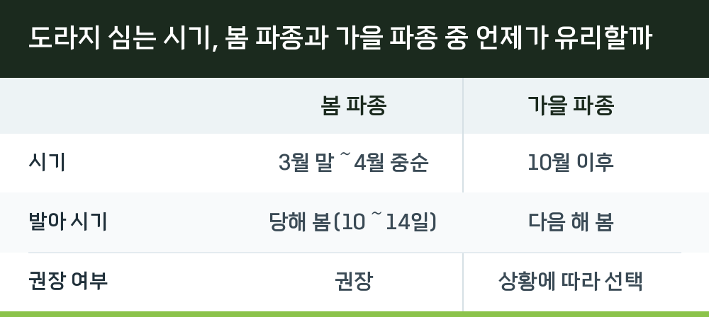도라지 심는 시기, 봄 파종과 가을 파종 중 언제가 유리할까