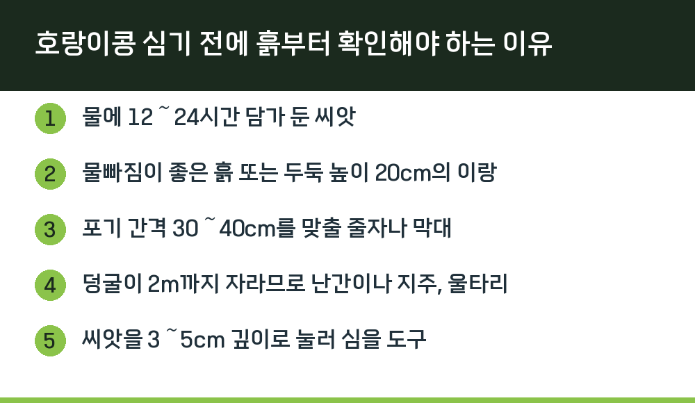 호랑이콩 심기 전에 흙부터 확인해야 하는 이유