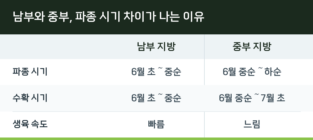 남부와 중부, 파종 시기 차이가 나는 이유