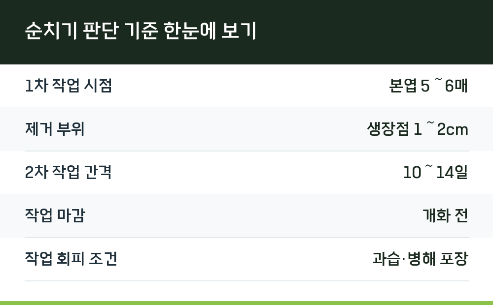 순치기 판단 기준 한눈에 보기