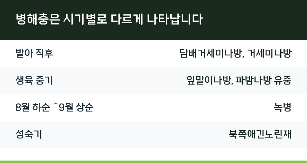 병해충은 시기별로 다르게 나타납니다