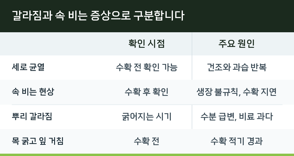 갈라짐과 속 비는 증상으로 구분합니다