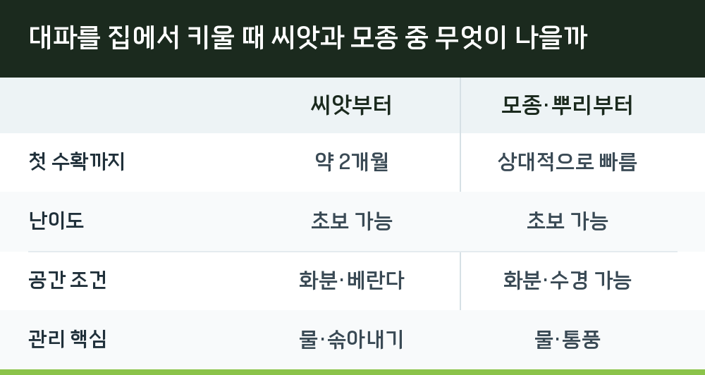 대파를 집에서 키울 때 씨앗과 모종 중 무엇이 나을까