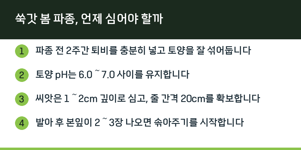 쑥갓 봄 파종, 언제 심어야 할까