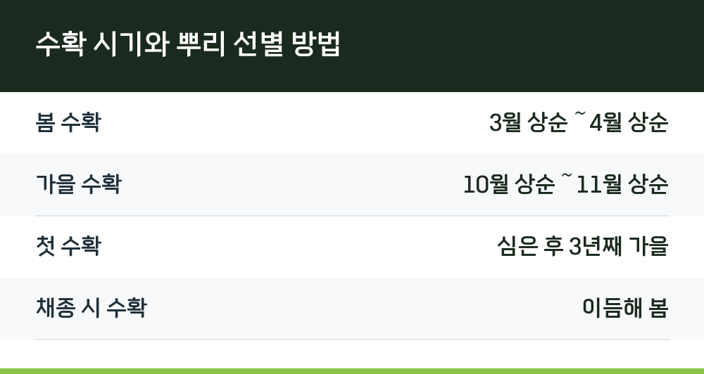 수확 시기와 뿌리 선별 방법