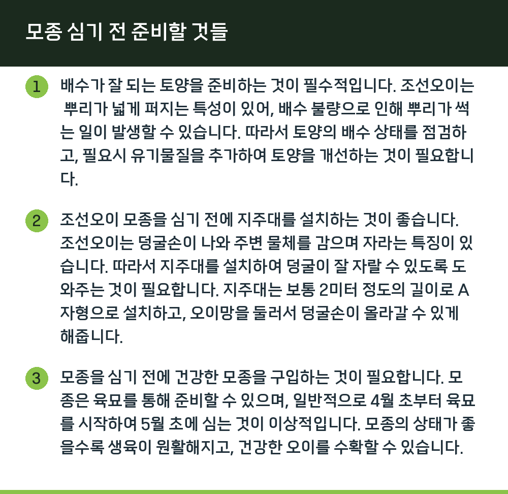모종 심기 전 준비할 것들
