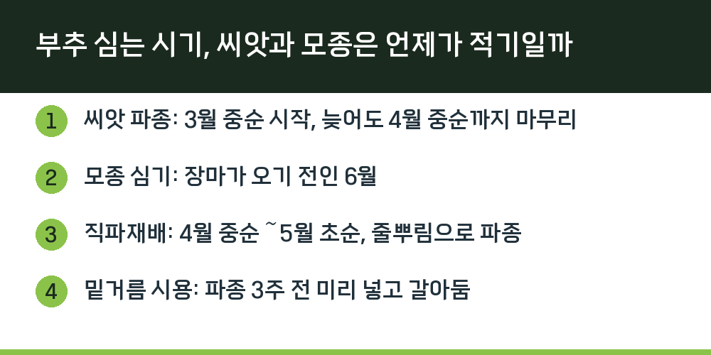 부추 심는 시기, 씨앗과 모종은 언제가 적기일까