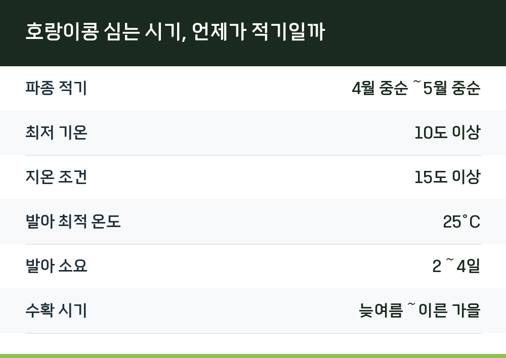 호랑이콩 심는 시기, 언제가 적기일까