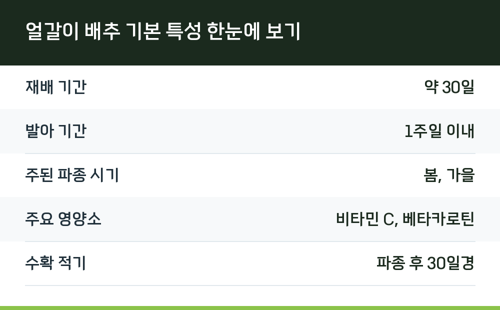 얼갈이 배추 기본 특성 한눈에 보기