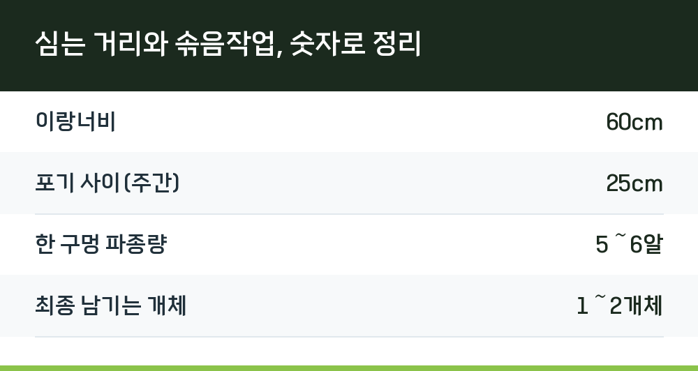 심는 거리와 솎음작업, 숫자로 정리