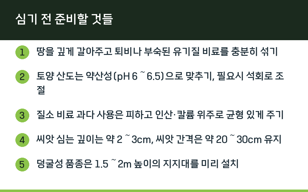 심기 전 준비할 것들