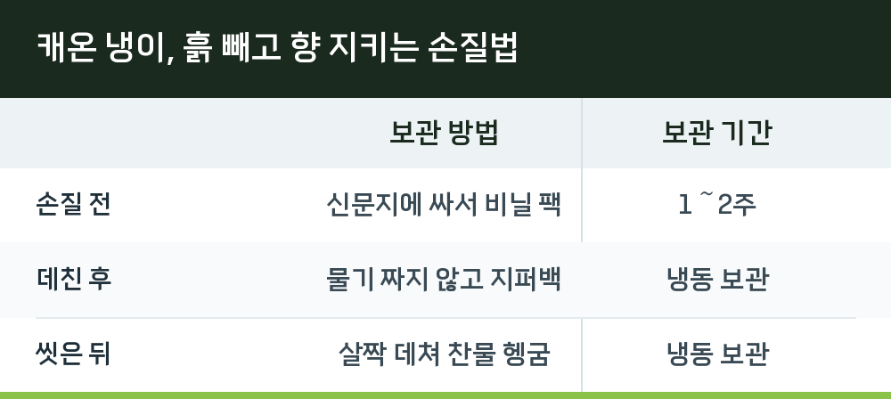 캐온 냉이, 흙 빼고 향 지키는 손질법