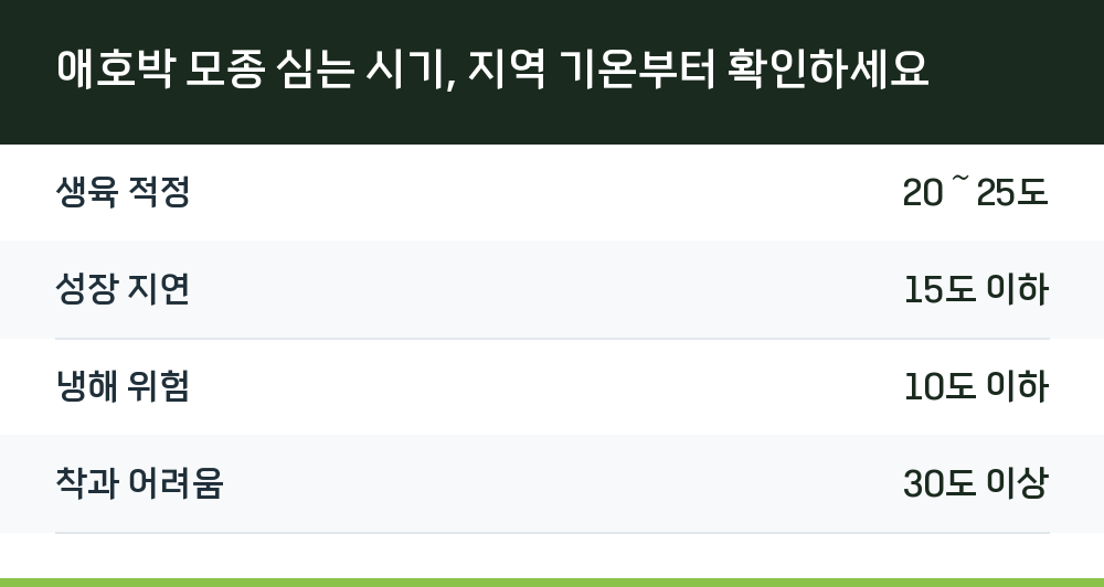 애호박 모종 심는 시기, 지역 기온부터 확인하세요