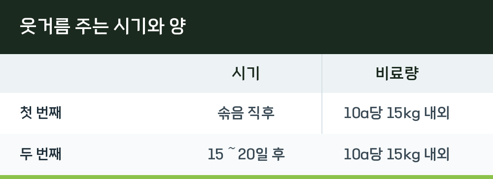웃거름 주는 시기와 양