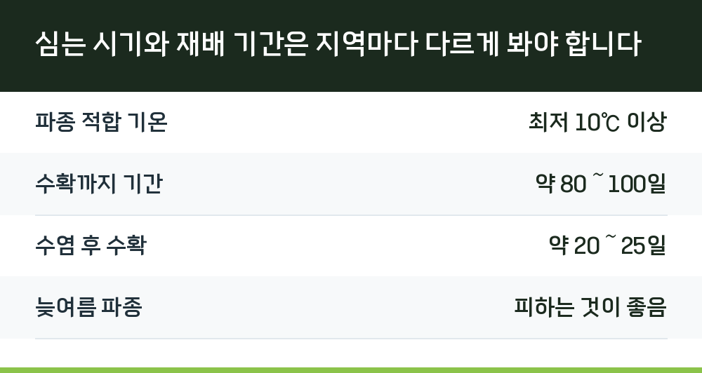 심는 시기와 재배 기간은 지역마다 다르게 봐야 합니다