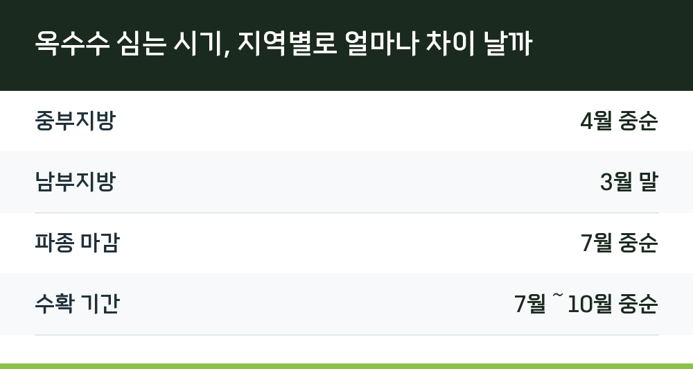 옥수수 심는 시기, 지역별로 얼마나 차이 날까