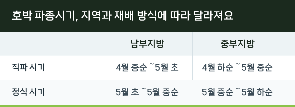 호박 파종시기, 지역과 재배 방식에 따라 달라져요