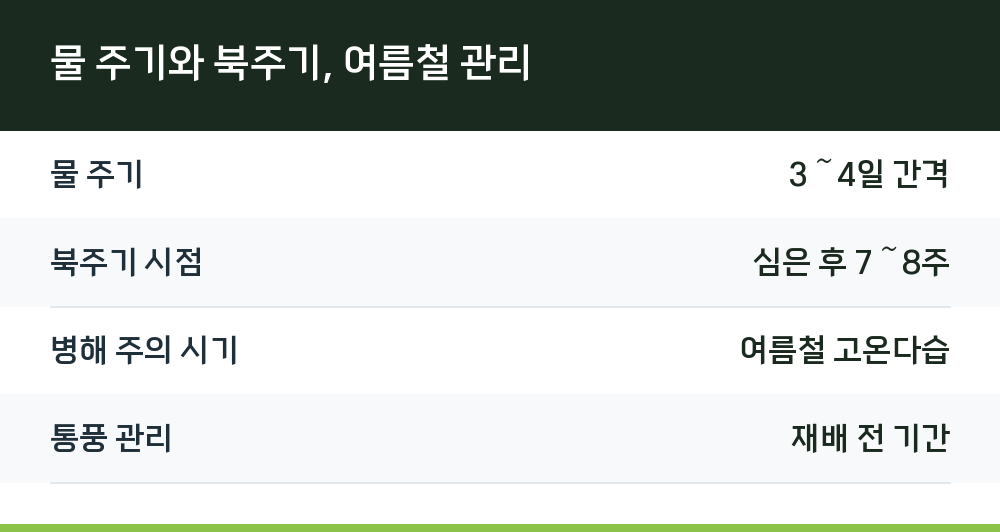 물 주기와 북주기, 여름철 관리