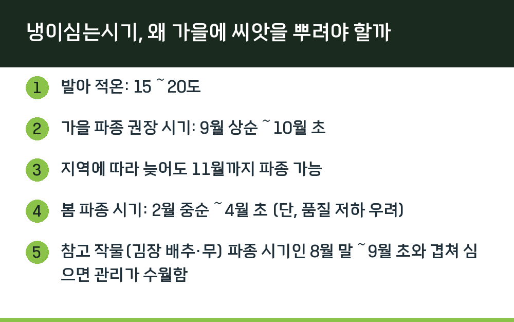 냉이심는시기, 왜 가을에 씨앗을 뿌려야 할까