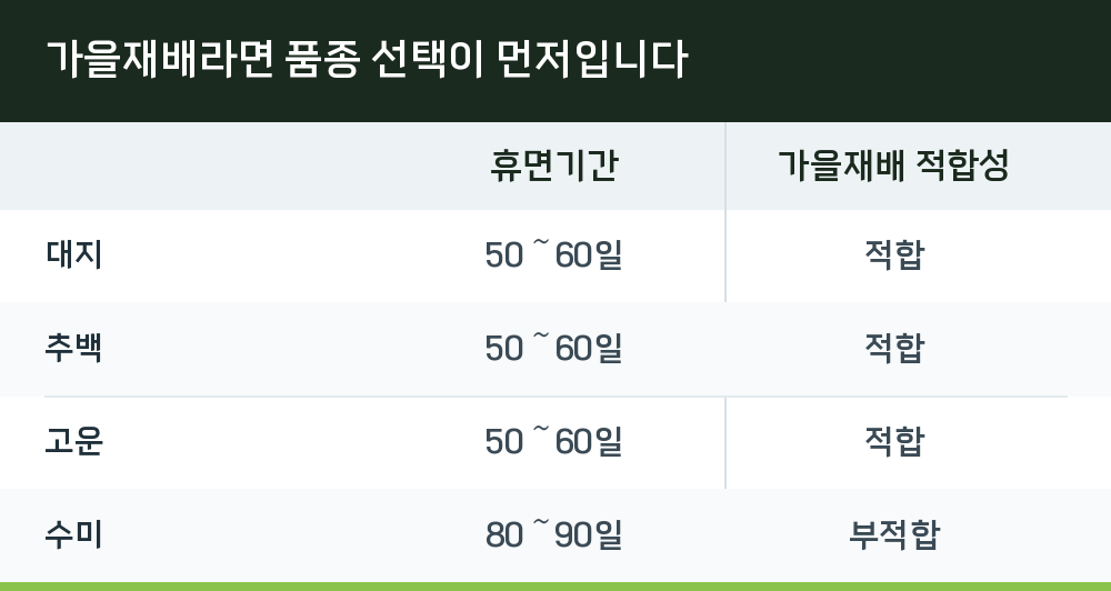 가을재배라면 품종 선택이 먼저입니다