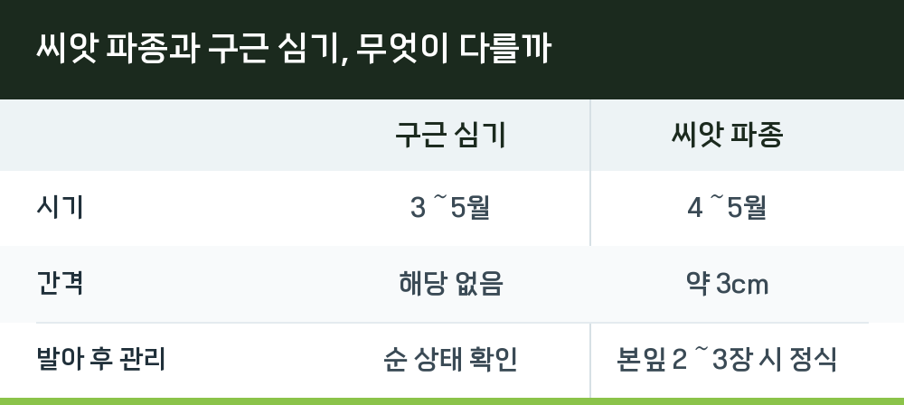 씨앗 파종과 구근 심기, 무엇이 다를까